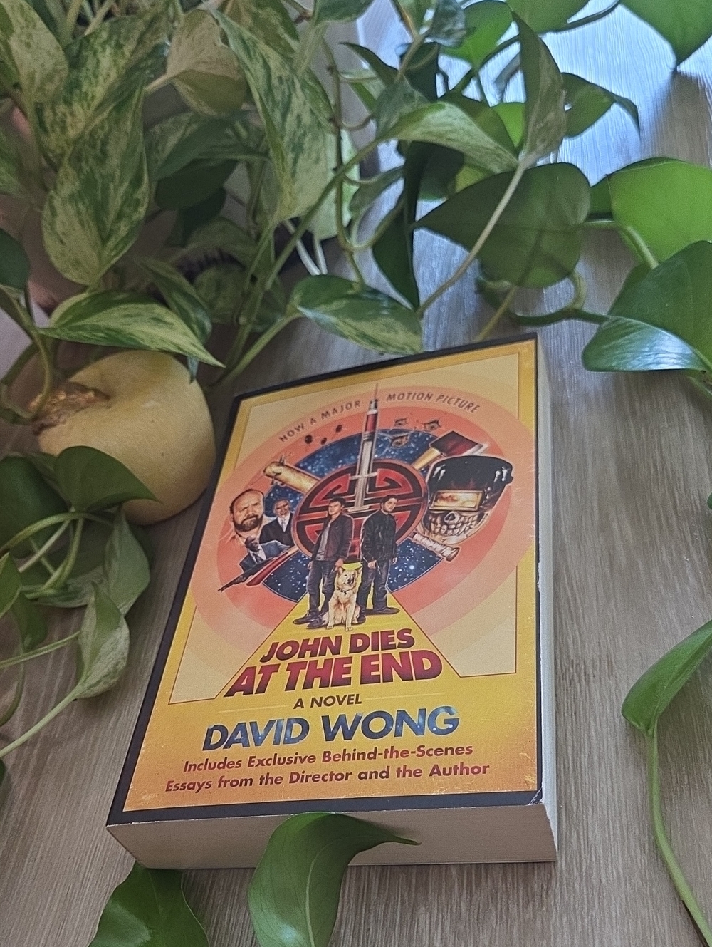 John Dies at the End by David Wong